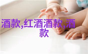 法国葡萄酒的文化艺术法国葡萄酒文化与艺术探秘