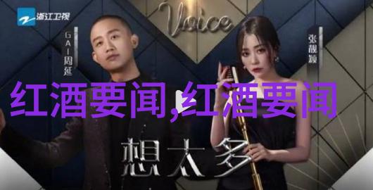 历史上的著名演出视频古埃及金字塔建造现场