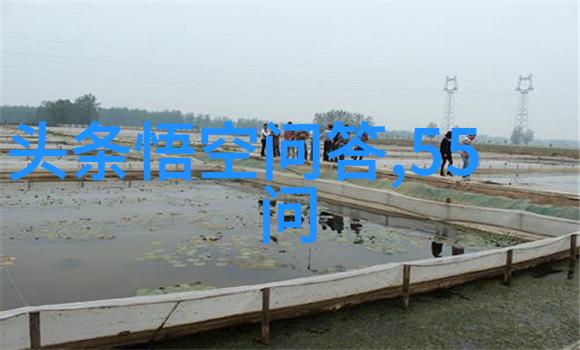 个人收藏管理如何安全删除不再需要的文件和数据
