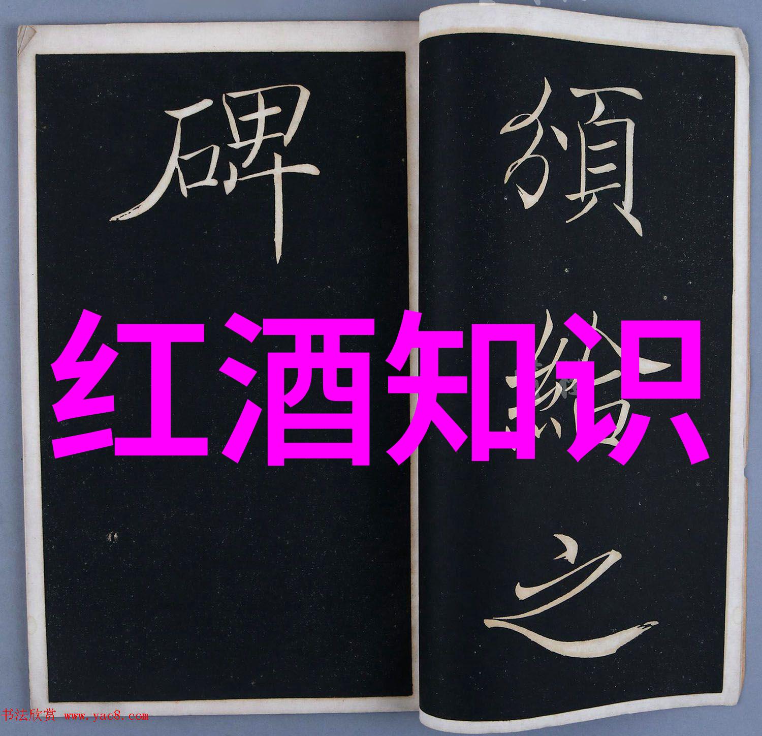影像守护者藏匿在视频深处的秘密