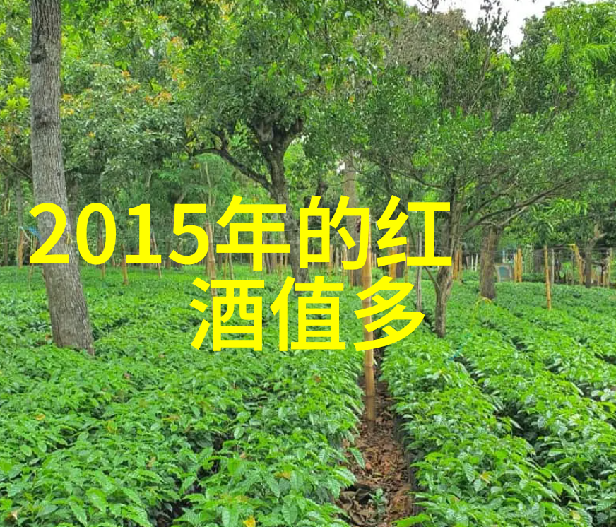 龙马精神岳飞的抗金英勇事迹