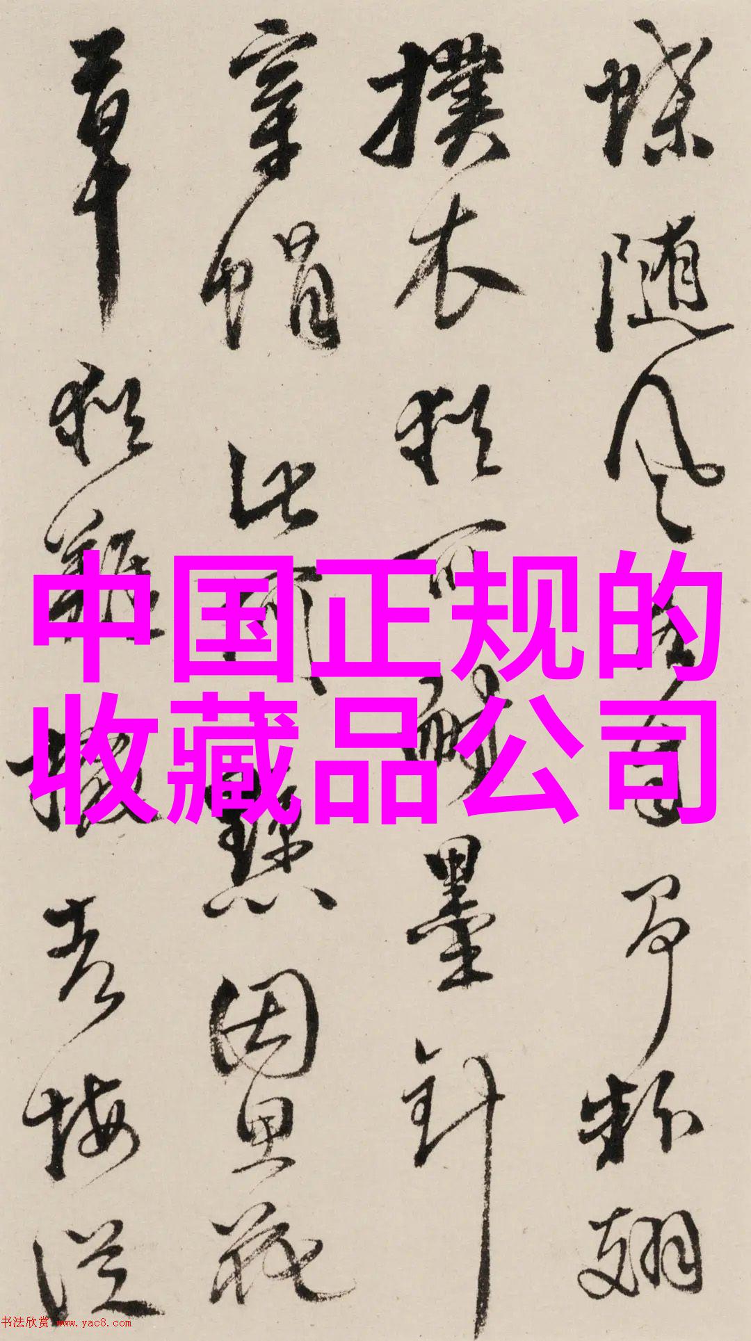 盗号器2013下载我的网络安全大冒险