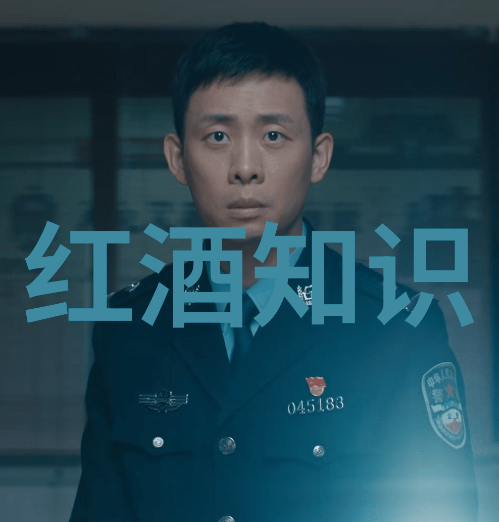 中国古代有庄园吗米歇尔183卡约酒庄犹如一幅静谧的画卷记录着时光的流逝