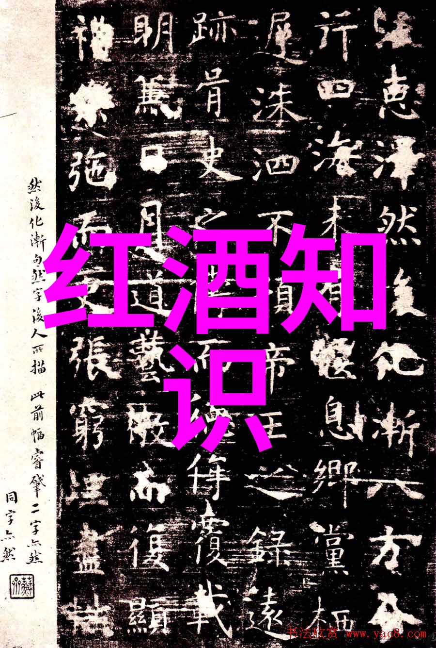 X系列大型活动回顾2022年精彩瞬间