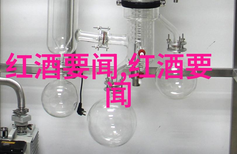 回响的岁月历史记录中的见证与故事