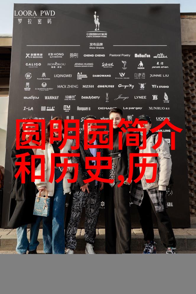 收藏家小说我的书房里的故事从一本旧书到一个世界的变迁