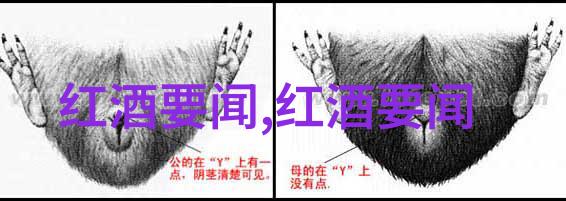 探索全球猫品种百科全书从A到Z每一个名字都有故事