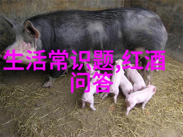 如何选择合适的题库答题软件来提升学习效率