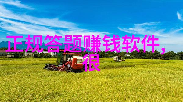 缅甸宝石眼猫是如何得名的它们具有何种独特之处