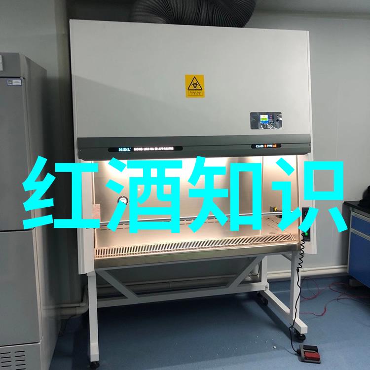 揭秘名词解释如何准确掌握人物特征的表达艺术