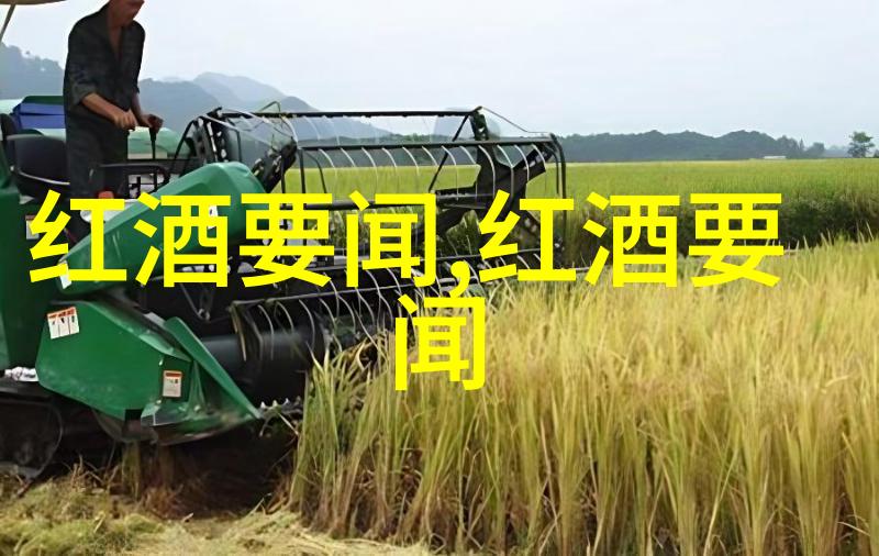 法兰西葡萄酒之都哪个地区被誉为世界级佳酿的发源地