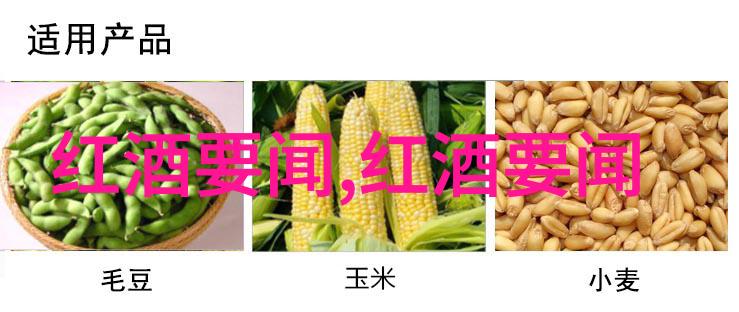 历史虚无主义的迷雾解读传统与现代间的断裂与重建