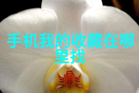 北京庄园开发商老板是谁我知道的那个高个子的富二代