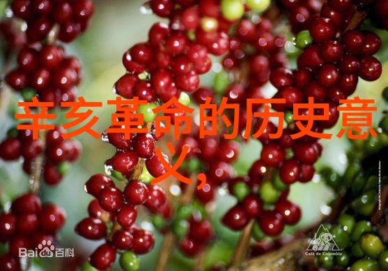 在这片古老的庄园里有一家名叫乐兹埃尔的酒庄能否品出它们深藏的秘密