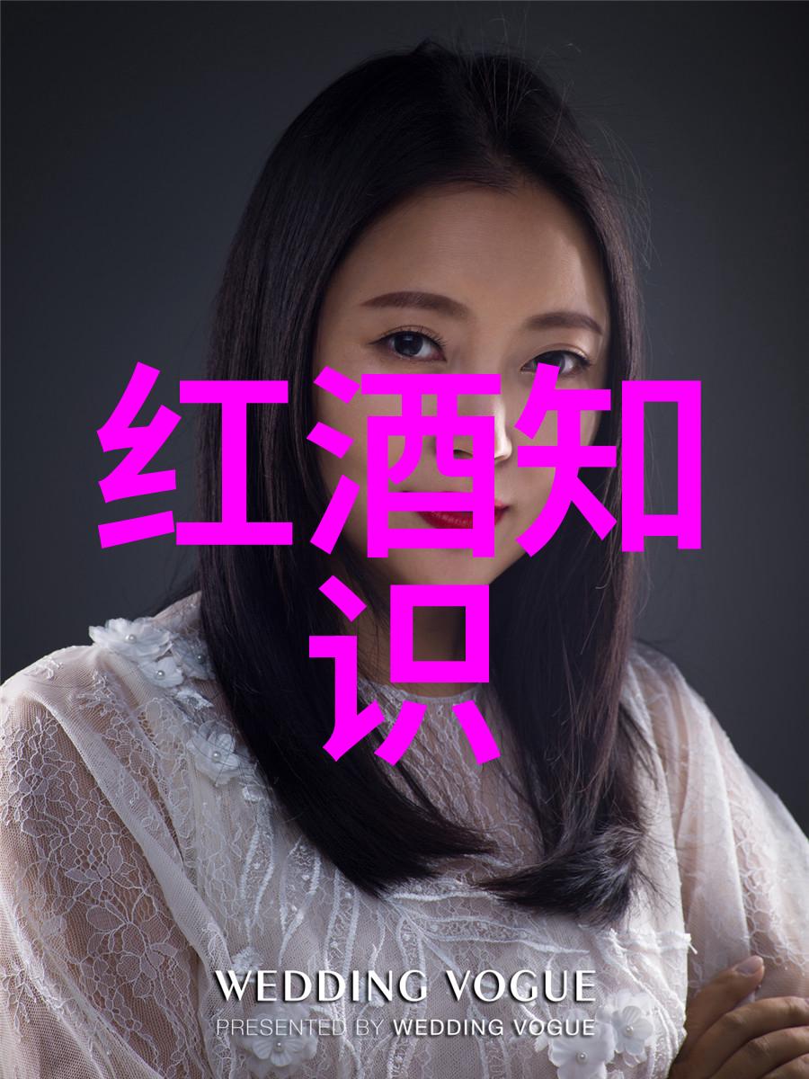 中国伟人传记简述中华民族英雄的辉煌事迹