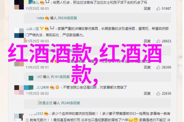 酿造技艺与传统工艺如何塑造独特风味的红酒