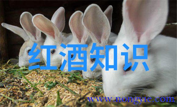 沃尔奈秘境无一匹特级葡萄园的珍藏之地中国收藏网下载探秘