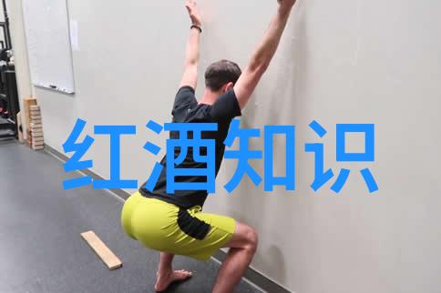 让我们一起走进优雅而聪明的波斯猫的世界吧