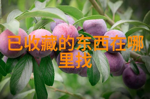 谁会品尝最新年份葡萄酒探寻自然中的收藏网站域名