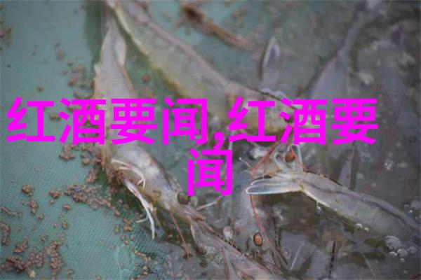 蚂蚁庄园今日赤霞葡萄酒