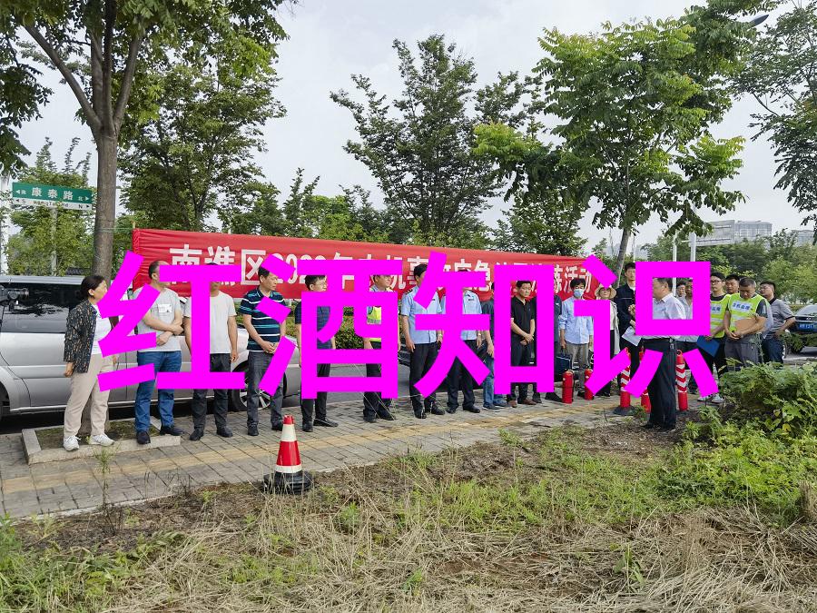 欧洲十大宫殿之旅探索古典建筑的巅峰