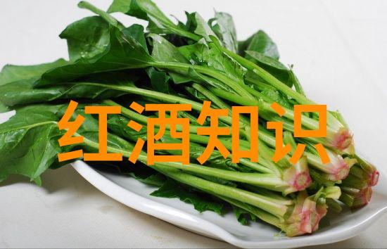 在社会的背景下探索牛肝菌食用后是否可饮酒的问题同时考虑附近200公里内的旅游景点