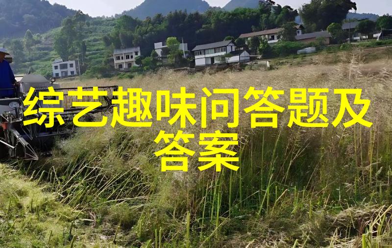 解密蚂蚁庄园答案揭秘每个谜题的正确之路