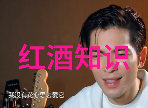 恢复往昔历史记录的重建与探索