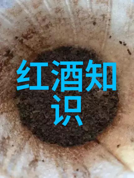 西欧庄园的迷人魅力古老历史精致建筑丰富文化