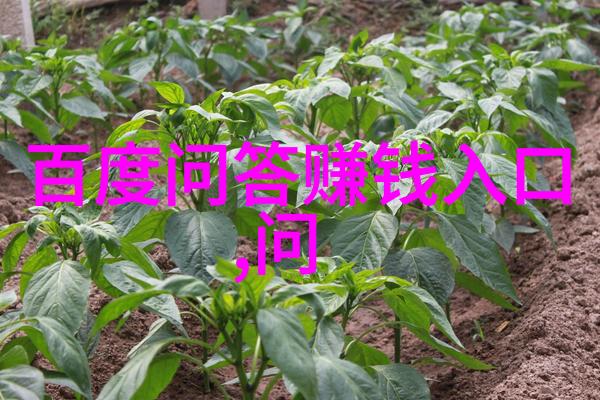 中国十大名茶有哪八种-探索龙井碧螺春与其他六款传统佳品的独特魅力