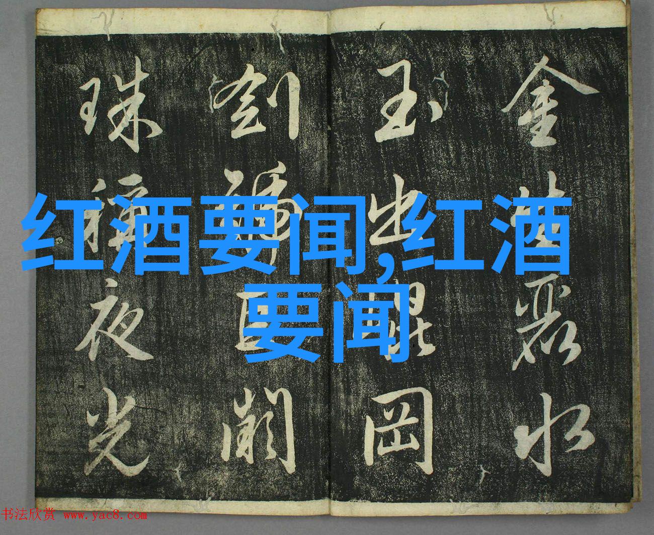 海湖庄园的深夜突袭FBI与权力背后的秘密