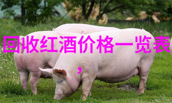 油彩缤纷探索油画收藏的艺术世界