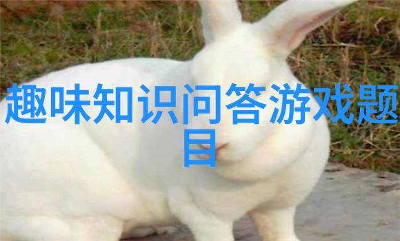 绚烂花园玫瑰品种的诗意序列