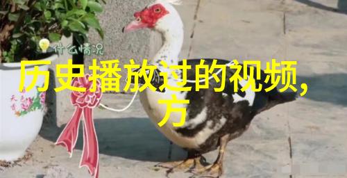 尹卓莉亚猫种类排名物品列表