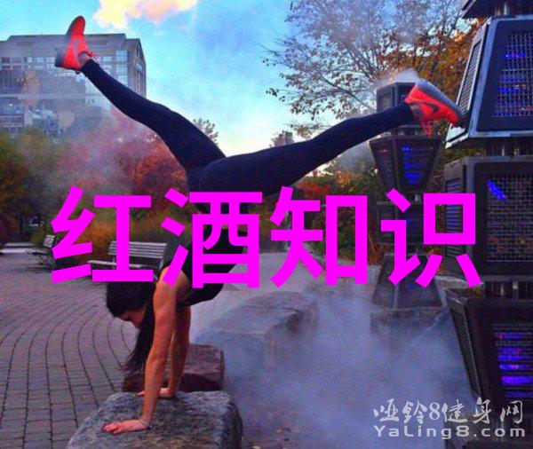 红酒的日常知识大全从品鉴到收藏的全方位指南