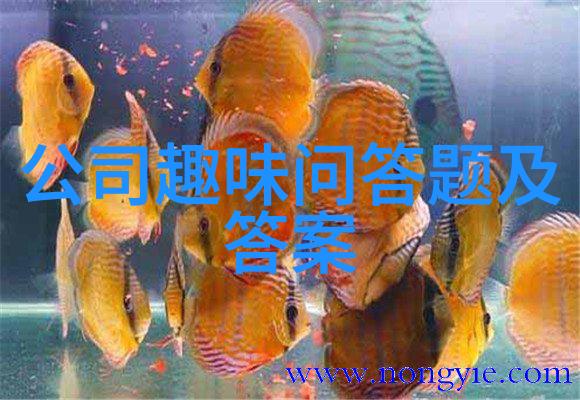 智慧引擎人工智能问答网站背后的技术秘密