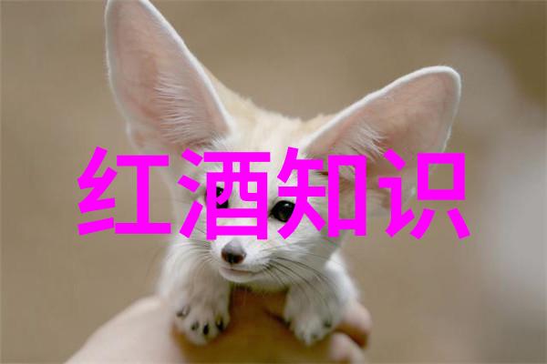 猫-探秘猫200种大全揭秘全球猫品种的奇迹与魅力