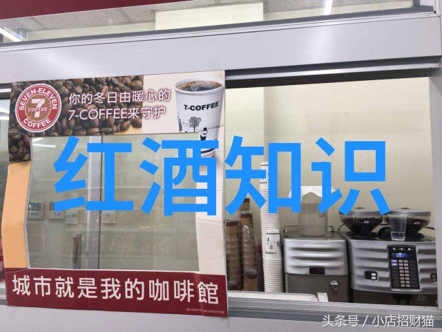 猫的价格表揭秘宠物之家新宠的真实成本