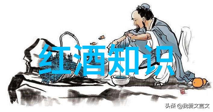 品味欧洲风情法国十大葡萄酒产区的故事与秘密