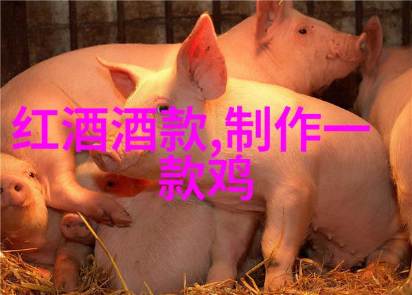 红色浪漫探索玫瑰花品种的美丽与深意
