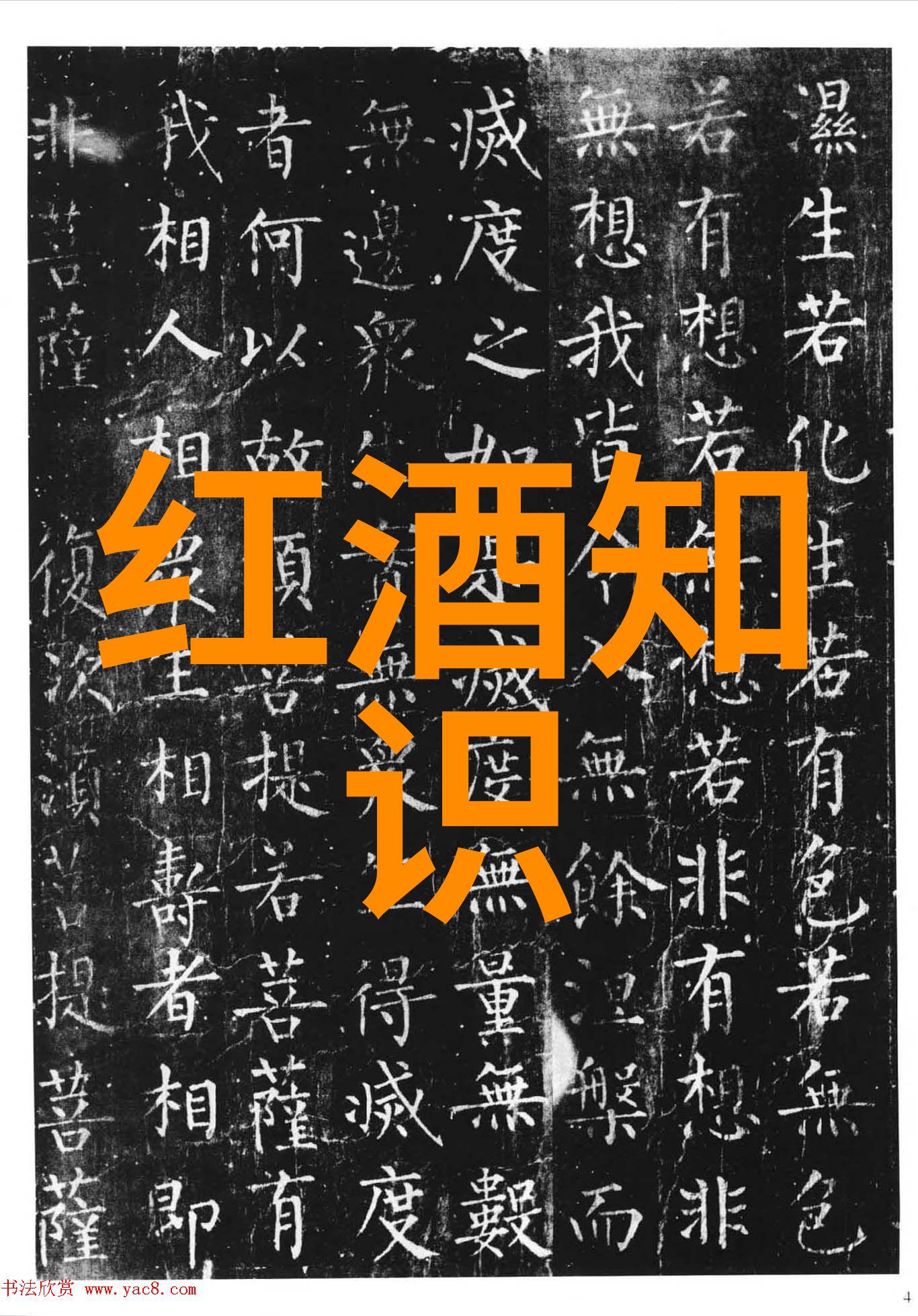 探索手机收藏的秘密如何轻松浏览您的宝藏