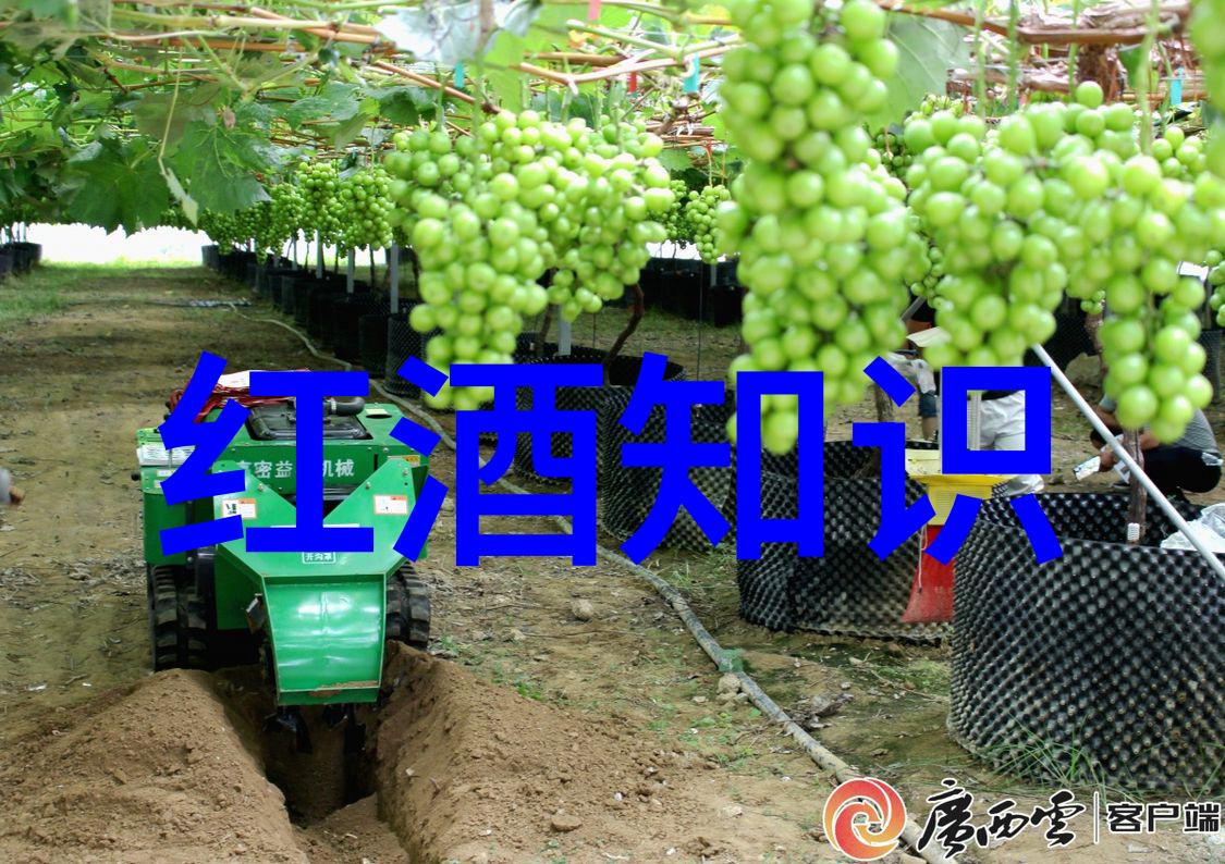 成都美食与文化深度游二日攻略指南