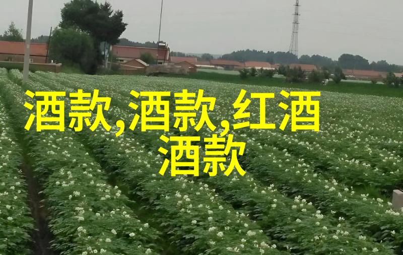 深藏的秘密收藏店铺背后的谜团