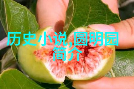 知识问答下载智慧之门开启的秘密世界