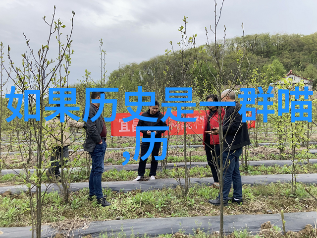 四级庄园设计图详细教程步骤高级别宅邸规划指南