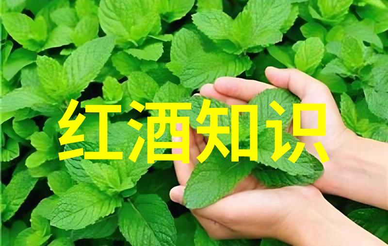 收藏的雅珍品之美与故事的编织