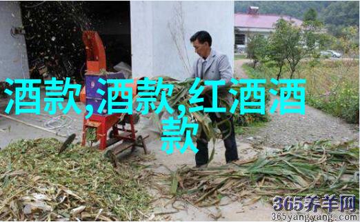 超实用工具大集合提高你的下载和组织速度