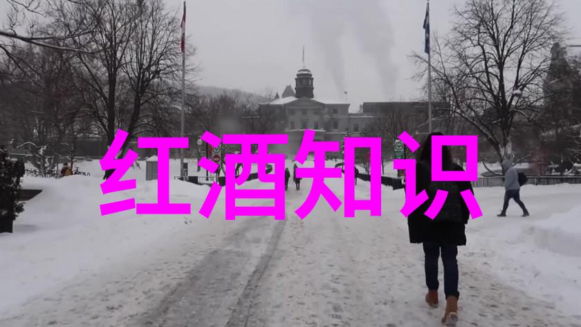 法国葡萄酒法定产区品味香醇的历史与传统