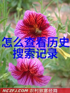 环保实践与科技创新如何将海湖庄园打造成为绿色社区
