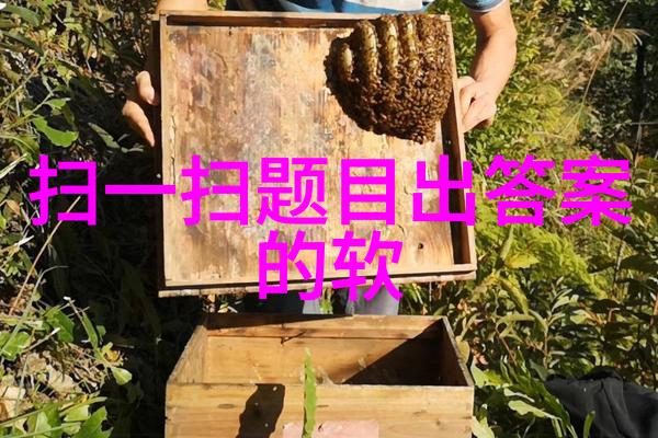 收藏的雅称-古董珍品的文人称谓探索收藏艺术中的诗意语言